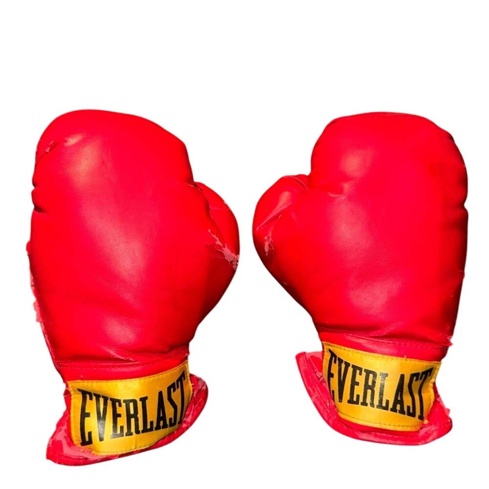 Everlast Bright Red Training Boxing Gloves Mens Small Fitness Bag Work MMA